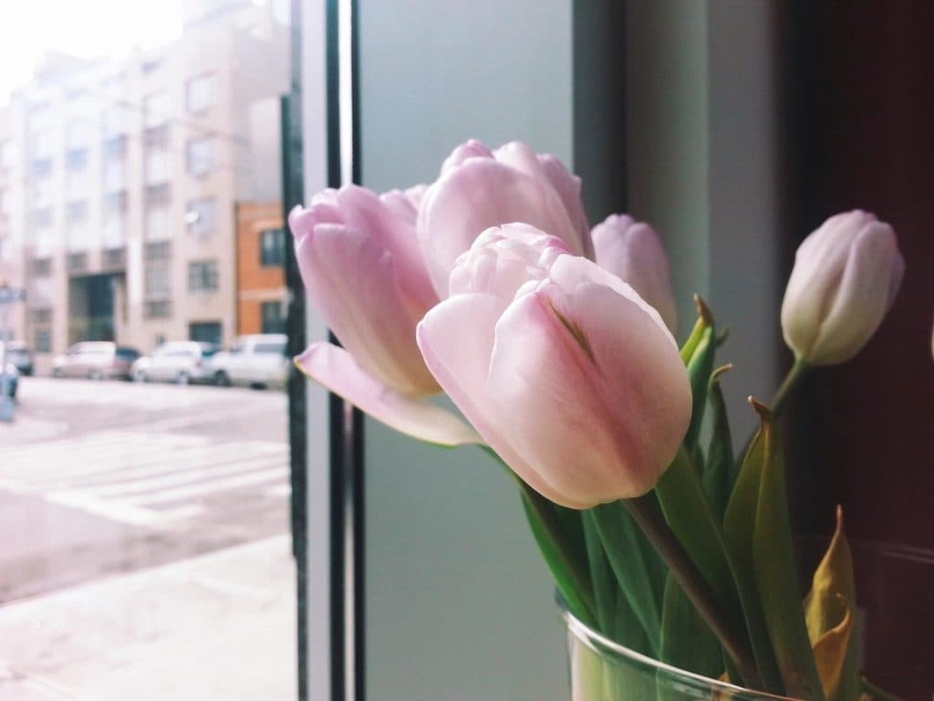 Zo blijven je bloemen een week langer mooi